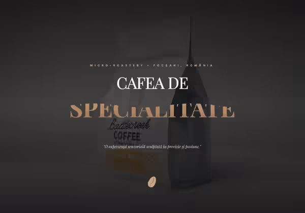 Noya Roastery — Café de Especialidad